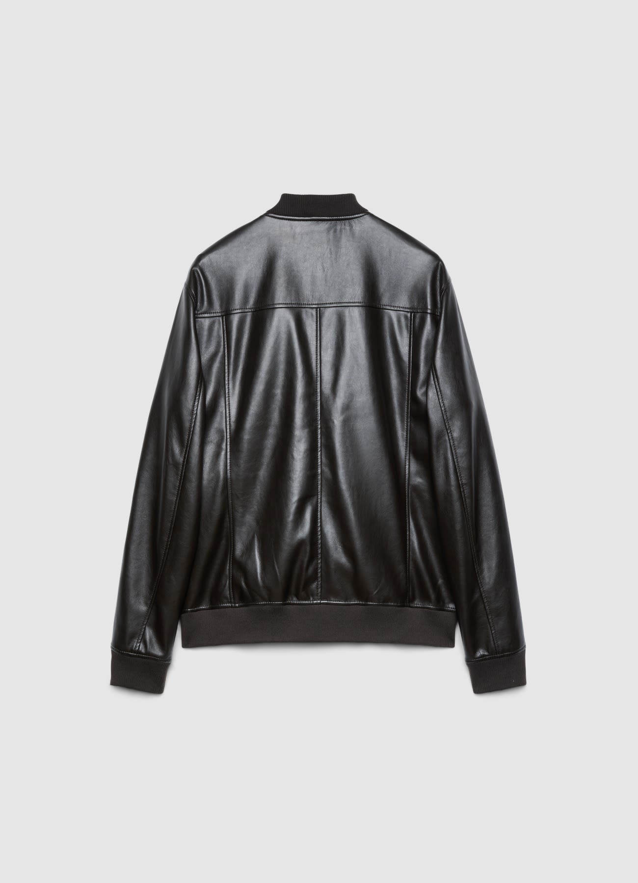 Cazadora Bomber con Cremallera y Ribetes Acanalados