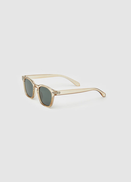 Gafas de Sol wayfarer